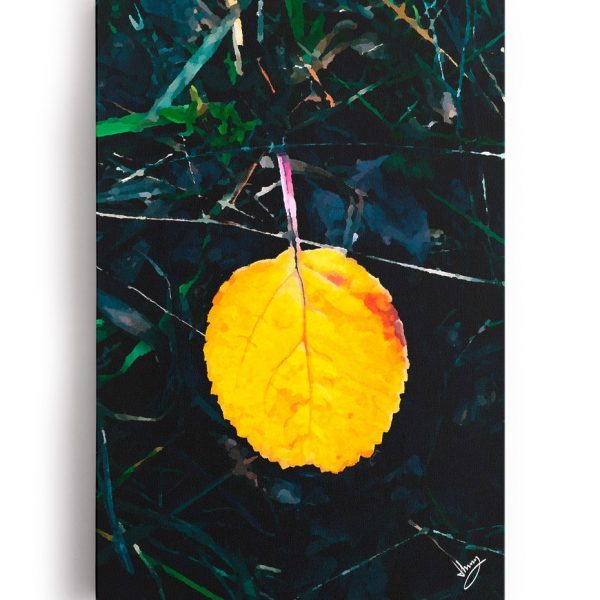 Lonely Leaf