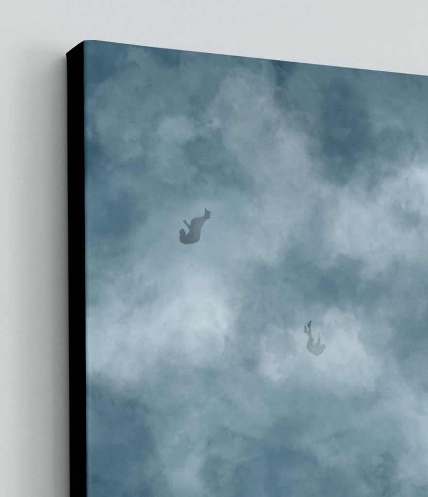 Detalhe "Asleep"